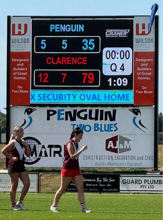 image upload c_limit,f_auto,w_560 v1781063783 content-images about-us chartities-and-sponsorships sporting-sponsorships-wilson-homes-penguin-football-club