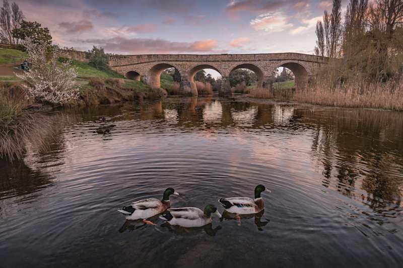 Richmond